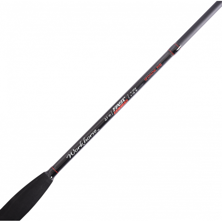 Maximus Workhorse V4